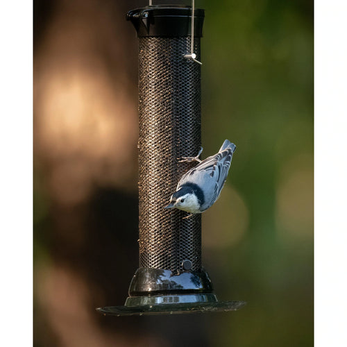 Classic Brands Droll Yankees® Onyx Clever Clean® Finch Screen Feeder with Easy Opening