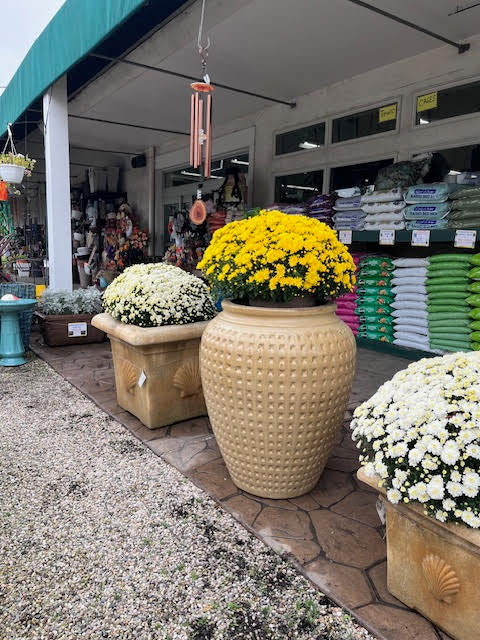 Everything you need for your garden, including a variety of plants, soils, planters, and decorative items, available at Chick's Southold Agway.