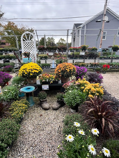 Everything you need for your garden, including a variety of plants, soils, planters, and decorative items, available at Chick's Southold Agway.