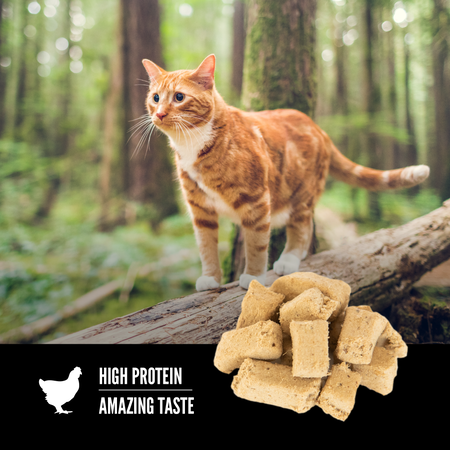 ORIJEN Freeze Dried Original Cat Treats