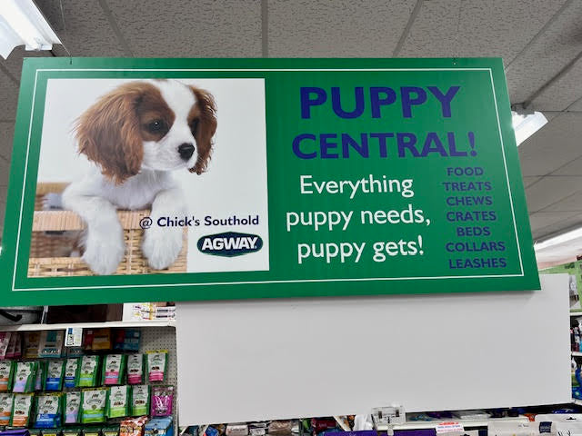 A Puppy Central Sign With A Green Background and Blue and White Text. The sign reads, 