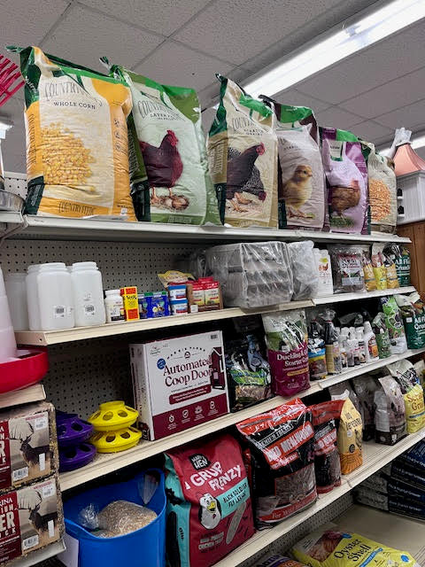 High-quality poultry care products at Chick's Southold Agway for backyard chickens and other fowl.