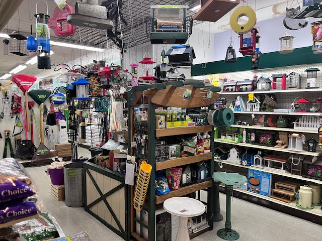 Wide selection of wild bird feed, feeders, and accessories at Chick's Southold Agway to attract a variety of bird species.