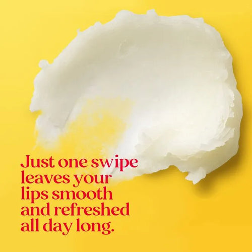 Burt's Bees Vanilla Bean Lip Balm
