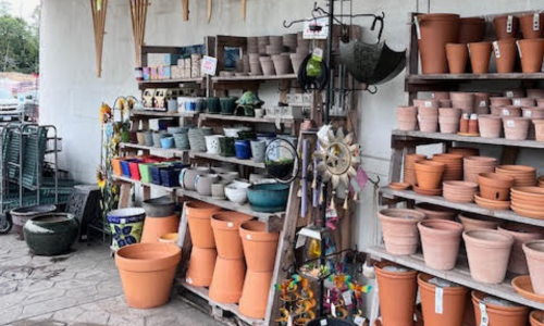 Everything you need for your garden, including a variety of plants, soils, planters, and decorative items, available at Chick's Southold Agway.