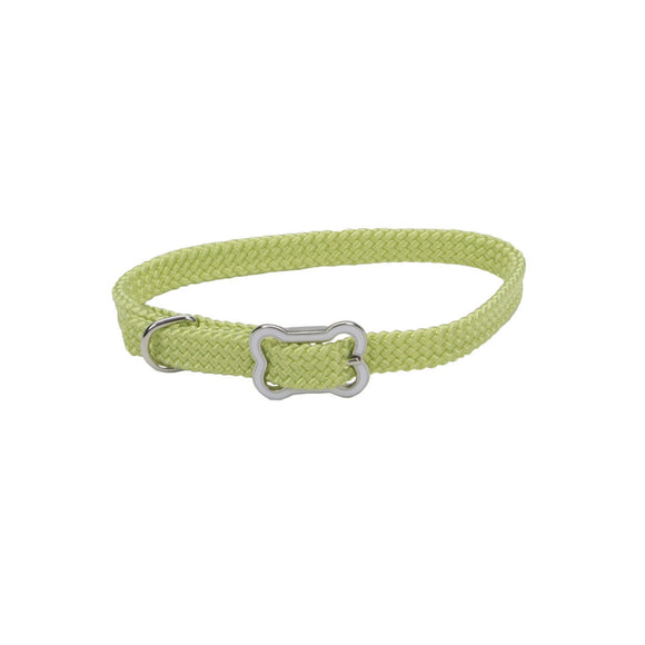 Coastal Pet Products Sunburst Dog Collar with Bone Buckle