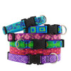 Lupine Pet Original Designs Dog Collar