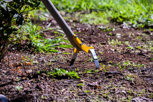 AMES TRUE TEMPER ACTION HOE WITH CUSHION END GRIP ON HARDWOOD HANDLE - Thumbnail 5