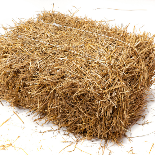 Hay