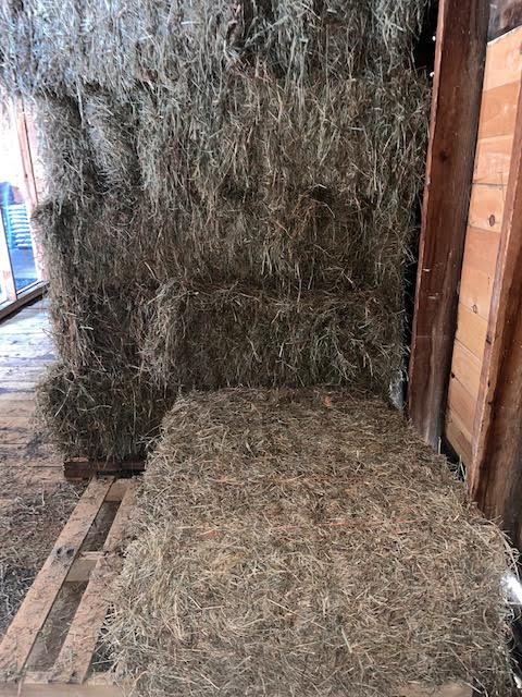 Chick's Southold Agway Hay-2nd Cut Timothy