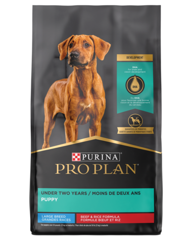 Purina Pro Plan Large Breed Beef & Rice Probiotic Dry Puppy Food -  Southold, NY