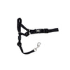 Coastal Pet Walk 'n Train! Dog Head Halter