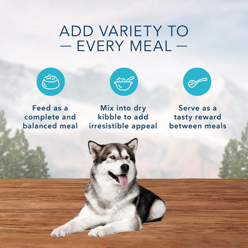 Blue Buffalo Wilderness Grain Free Flatland Feast with Turkey, Duck & Quail Canned Dog Food