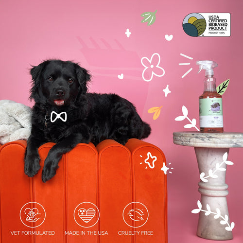 Kin + Kind Pee+Stain+Odor Destroyer (Fabric+Carpet)