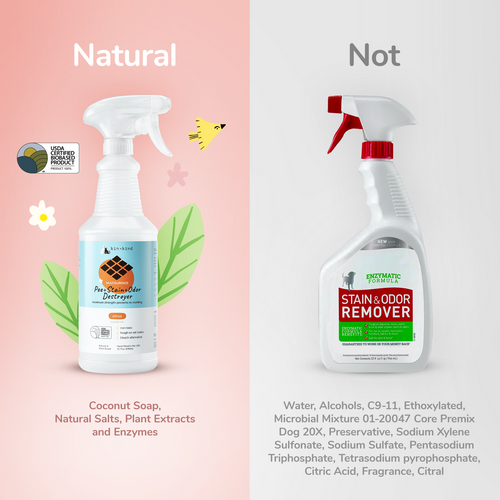 Kin + Kind Pee+Stain+Odor Destroyer (Fabric+Carpet)