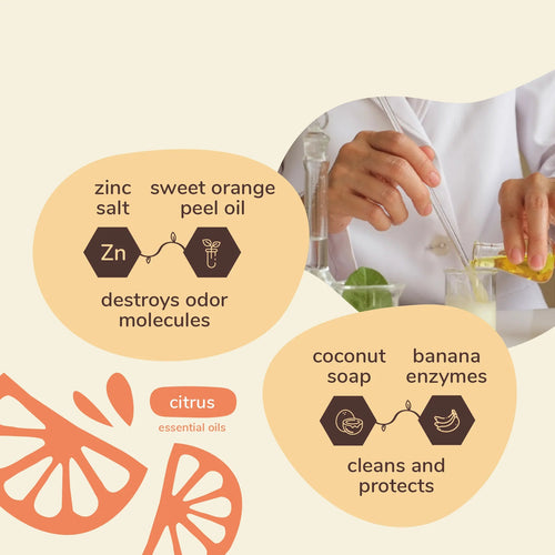 Kin + Kind Pee+Stain+Odor Destroyer (Hardwood+Floor) for Dogs