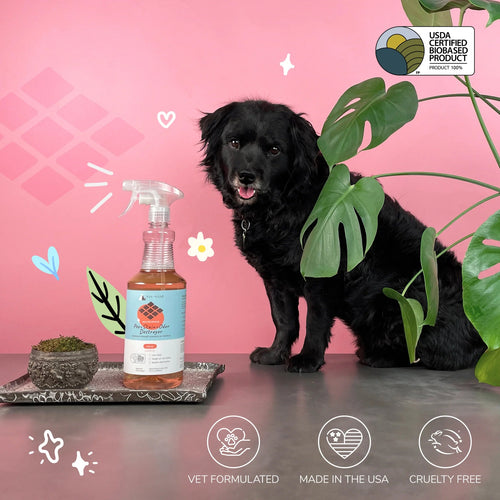 Kin + Kind Pee+Stain+Odor Destroyer (Multi-Surface) - Citrus for Dogs