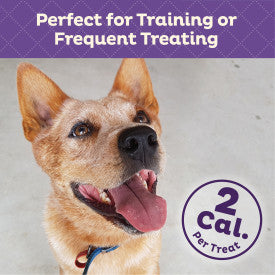 Old Mother Hubbard Wellness Training Bitz Assorted Mix Dog Biscuits