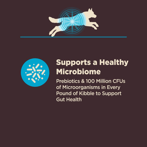 Wellness CORE Digestive Health Whitefish & Brown Rice Dry Dog Food