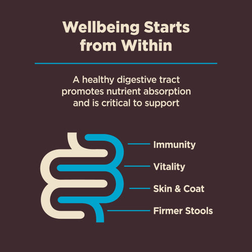 Wellness CORE Digestive Health Whitefish & Brown Rice Dry Dog Food