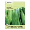 Livingston Squash Zucchini Bush Seed