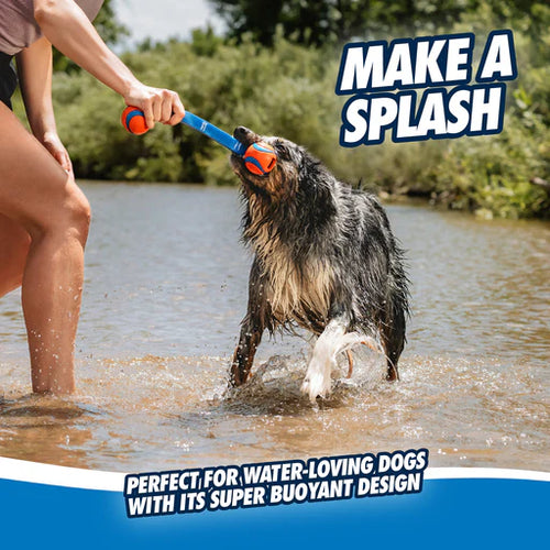 Chuckit! Ultra Duo Tug Dog Toy