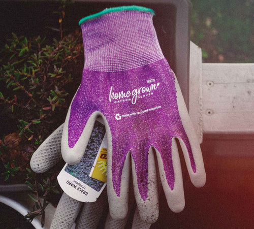 Watson Gloves Homegrown #375 Karma Coated Seamless Knit