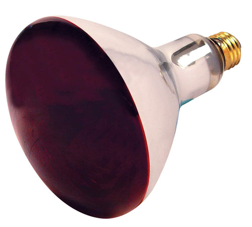 Satco 250R40/HR/2PK Red Heat Lamp