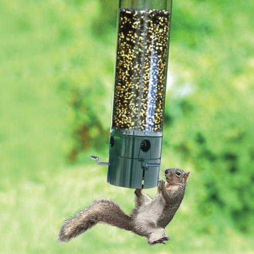 Woodlink The Magnet Feeder