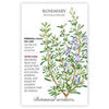 Botanical Interests Rosemary Seeds