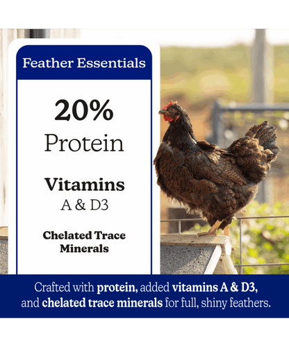 Nutrena NatureWise Feather Fixer 20% Protein Pellet