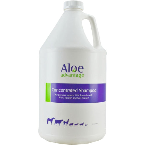 Aloe Advantage Concentrated Shampoo