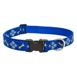 Dog Collar, Adjustable, Dapper Dog, 1 x 12 to 20-In.