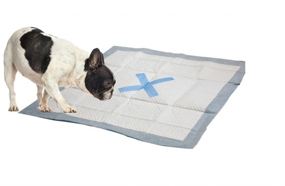 Ethical Pet X Marks the Spot  Puppy Pad