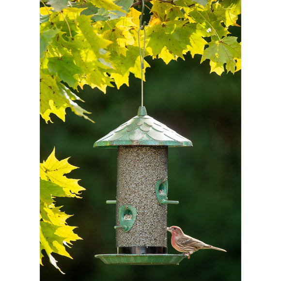 More Birds® Acorn Sunflower Screen Bird Feeder, 2.8 lb. capacity