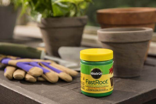 Miracle-Gro® FastRoot₁® Dry Powder Rooting Hormone