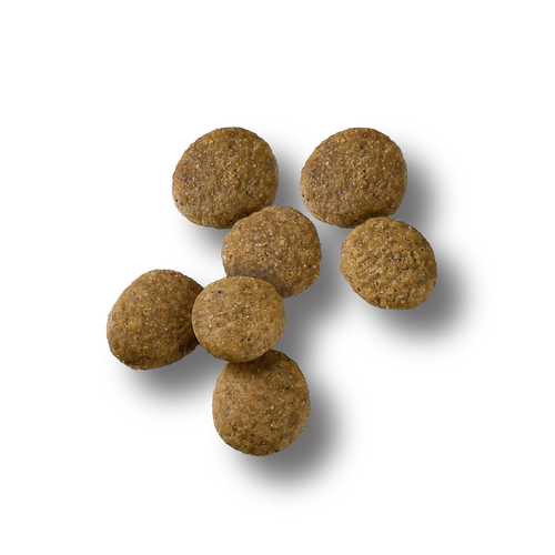 Purina Pro Plan Large Breed Beef & Rice Probiotic Dry Puppy Food