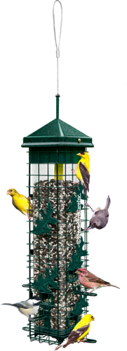 Brome Bird Care Squirrel Solution200 Squirrel-proof Bird Feeder w/6 Feeding Ports, 3.4-pound Seed Saver