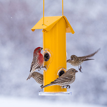 Perky-Pet® Yellow Metal Tube Bird Feeder - 12 oz Seed Capacity