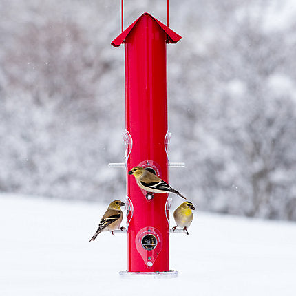 Perky-Pet® Red Metal Tube Bird Feeder - 1.5 lb Seed Capacity