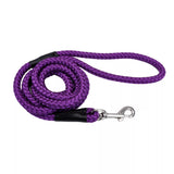 Coastal Pet Coastal Rope Dog Leash (1/2" X 6', Purple)
