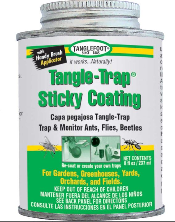 Tanglefoot Tangle-trap Glue Outdoor Insect Bait