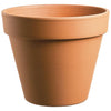 STANDARD CLAY POT